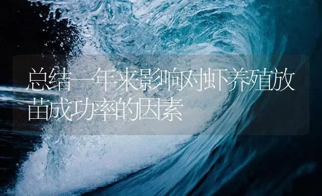 总结一年来影响对虾养殖放苗成功率的因素 | 海水养殖