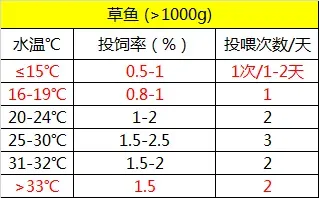 珠三角地区草鱼养殖冬季饲料投喂策略：少即是多