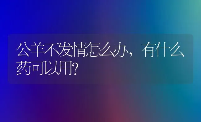 公羊不发情怎么办，有什么药可以用？ | 养殖病虫害防治