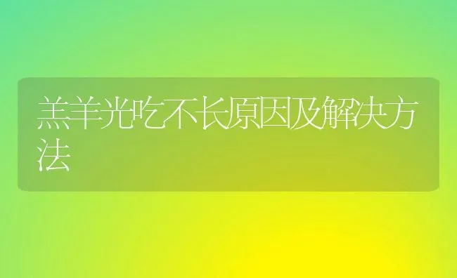 羔羊光吃不长原因及解决方法 | 家畜养殖