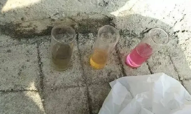 鱼虾死亡的原因及防控方法