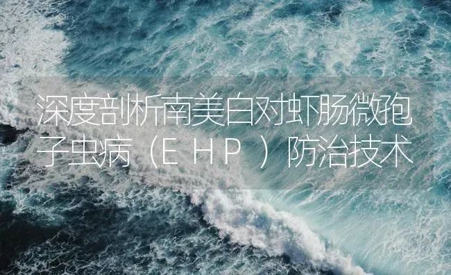 深度剖析南美白对虾肠微孢子虫病（EHP）防治技术 | 海水养殖