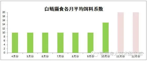 要想产量有所突破，花白鲢养殖户必须掌握的生长特性