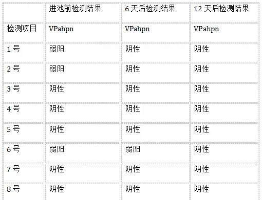 弧菌天敌对南美白对虾弧菌及急性肝胰腺坏死病（VPahpnd）的作用