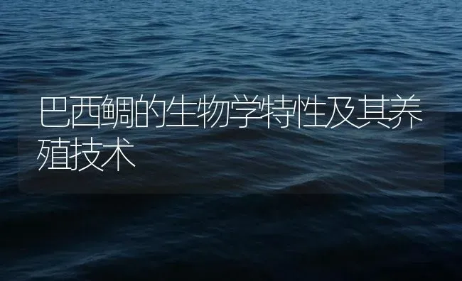 巴西鲷的生物学特性及其养殖技术 | 海水养殖