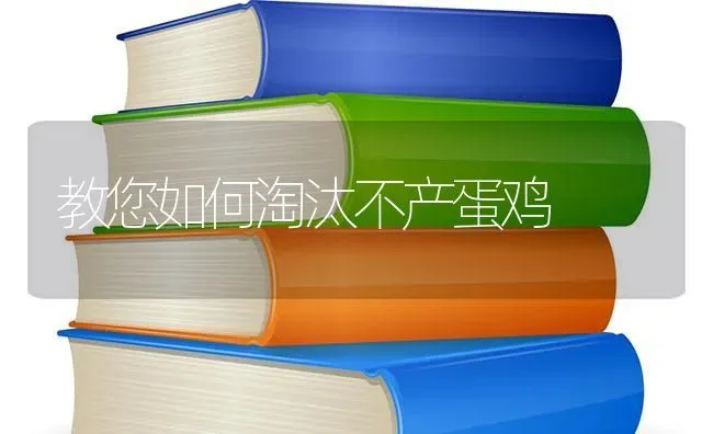 教您如何淘汰不产蛋鸡 | 家禽养殖
