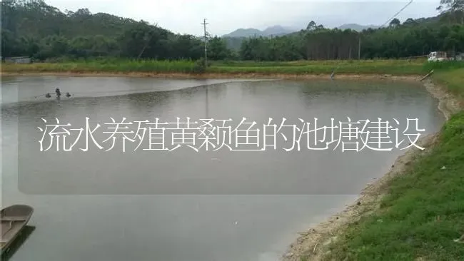 流水养殖黄颡鱼的池塘建设 | 淡水养殖