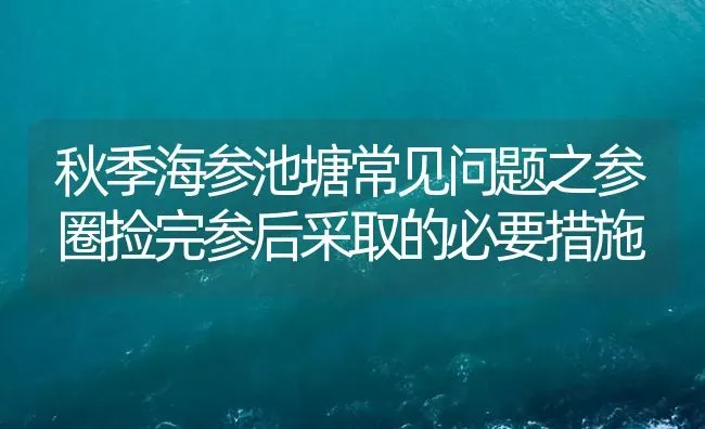 秋季海参池塘常见问题之参圈捡完参后采取的必要措施 | 海水养殖