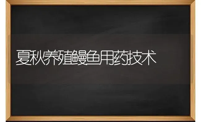 夏秋养殖鳗鱼用药技术 | 养殖病虫害防治