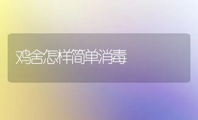 鸡舍怎样简单消毒 | 家禽养殖