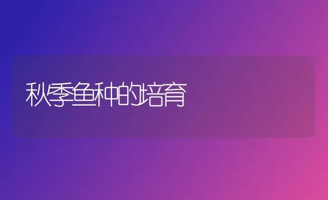 秋季鱼种的培育 | 淡水养殖