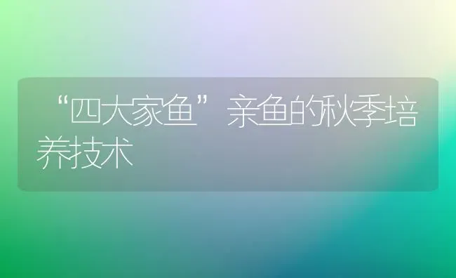 “四大家鱼”亲鱼的秋季培养技术 | 淡水养殖