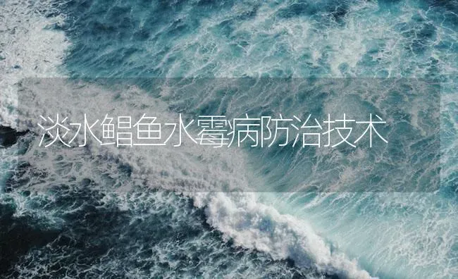 淡水鲳鱼水霉病防治技术 | 海水养殖