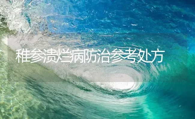 稚参溃烂病防治参考处方 | 海水养殖