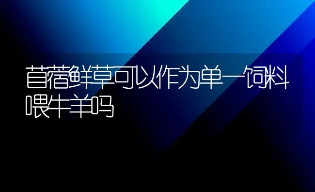 苜蓿鲜草可以作为单一饲料喂牛羊吗 | 家畜养殖