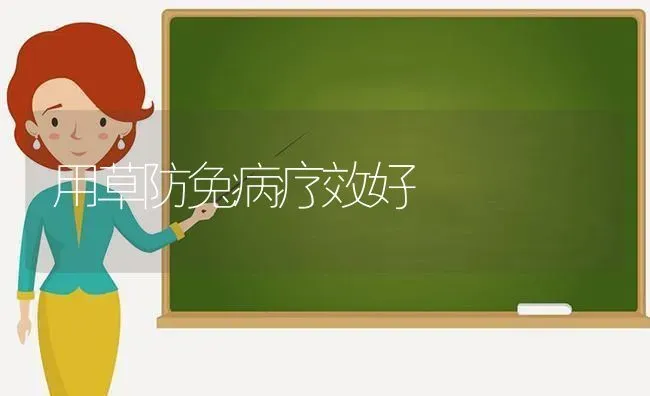 用草防兔病疗效好 | 家畜养殖