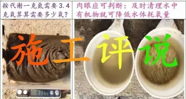 水产养殖水体就一定耗氧？