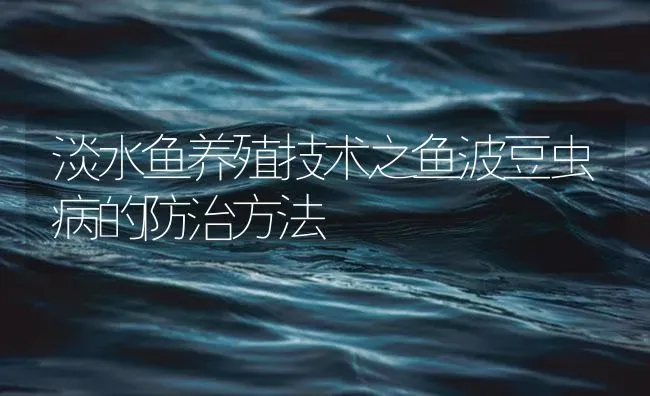 淡水鱼养殖技术之鱼波豆虫病的防治方法 | 养殖病虫害防治