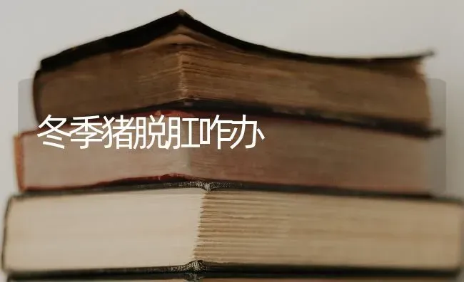 冬季猪脱肛咋办 | 家畜养殖