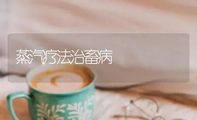 蒸汽疗法治畜病 | 家畜养殖