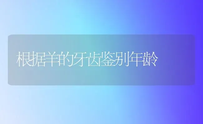 根据羊的牙齿鉴别年龄 | 家畜养殖