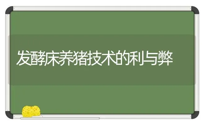 发酵床养猪技术的利与弊 | 家畜养殖