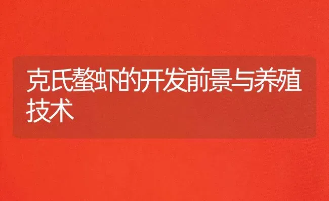 克氏螯虾的开发前景与养殖技术 | 特种养殖
