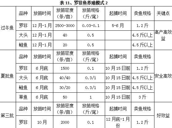 史上最全华南地区分区域罗非鱼养殖模式推荐