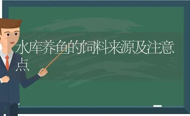 水库养鱼的饲料来源及注意点 | 动物养殖百科