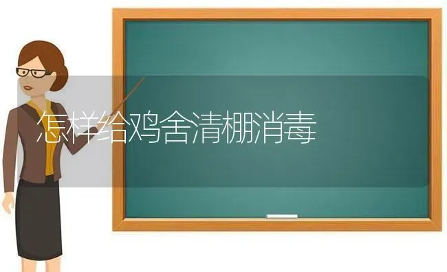 怎样给鸡舍清棚消毒 | 家禽养殖