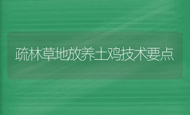 疏林草地放养土鸡技术要点 | 家禽养殖