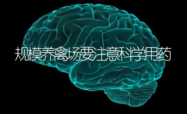 规模养禽场要注意科学用药 | 养殖病虫害防治