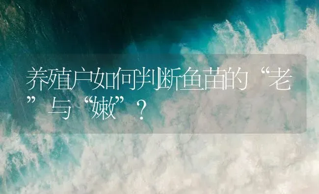 养殖户如何判断鱼苗的“老”与“嫩”？ | 淡水养殖