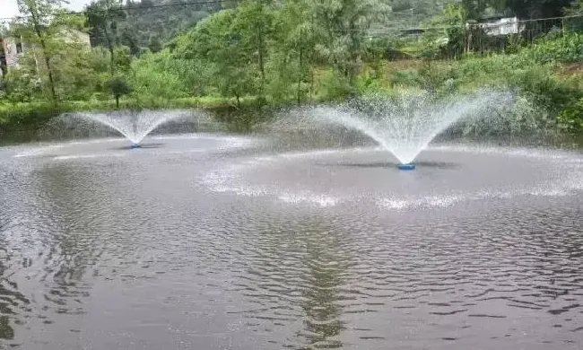 鱼缺氧浮头（暗浮头）几个常见原因和处理方法