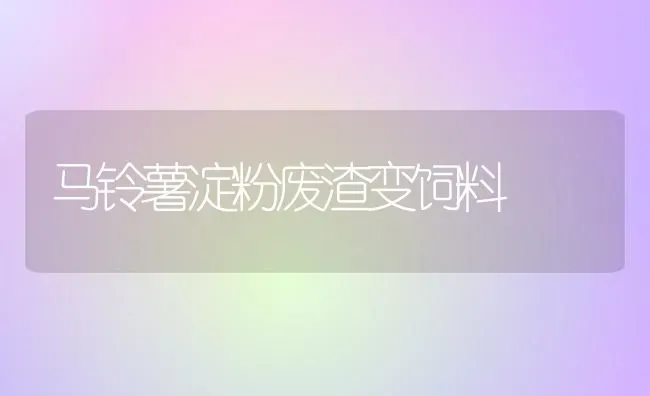 马铃薯淀粉废渣变饲料 | 动物养殖饲料