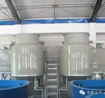 淡水工厂化循环水养殖技术详解