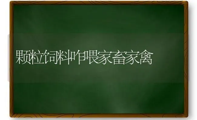 颗粒饲料咋喂家畜家禽 | 动物养殖饲料