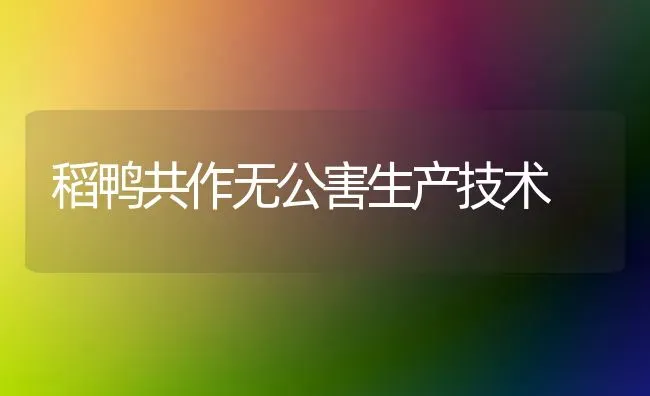 稻鸭共作无公害生产技术 | 家禽养殖