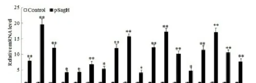 论文解读--海豚链球菌SagH基因DNA疫苗的构建及特性研究