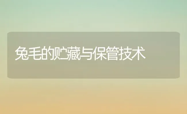 兔毛的贮藏与保管技术 | 家畜养殖