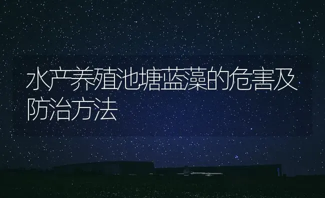 水产养殖池塘蓝藻的危害及防治方法 | 动物养殖百科