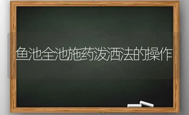 鱼池全池施药泼洒法的操作 | 养殖病虫害防治