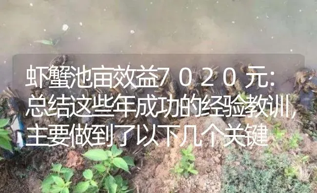 虾蟹池亩效益7020元：总结这些年成功的经验教训，主要做到了以下几个关键 | 淡水养殖