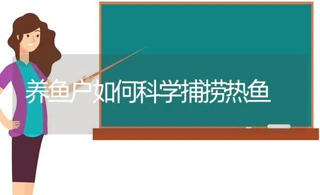 养鱼户如何科学捕捞热鱼 | 动物养殖百科