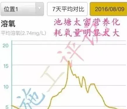 那种南美白对虾养殖模式，成功率肯定高！