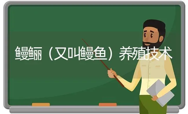 鳗鲡（又叫鳗鱼）养殖技术 | 动物养殖百科