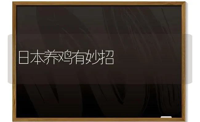日本养鸡有妙招 | 家禽养殖