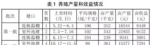 用这种方式养南美白对虾亩产值近8万元，速来围观