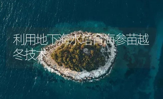 利用地下海水培育海参苗越冬技术 | 海水养殖