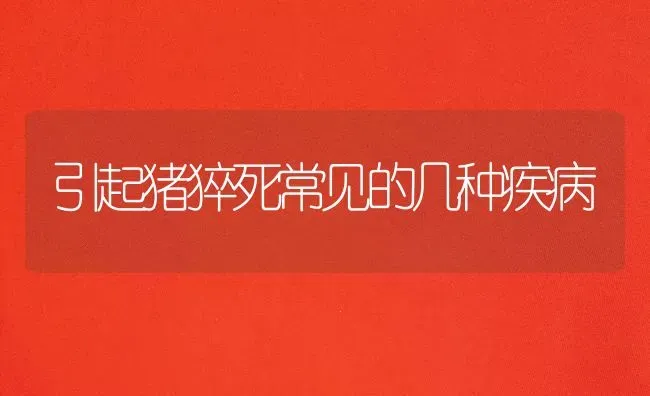 引起猪猝死常见的几种疾病 | 家畜养殖